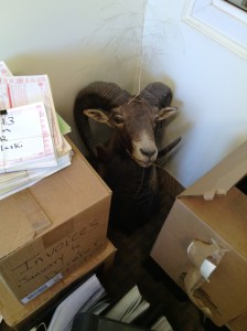 Image by Adam Ickes at http://adamickes.wordpress.com/